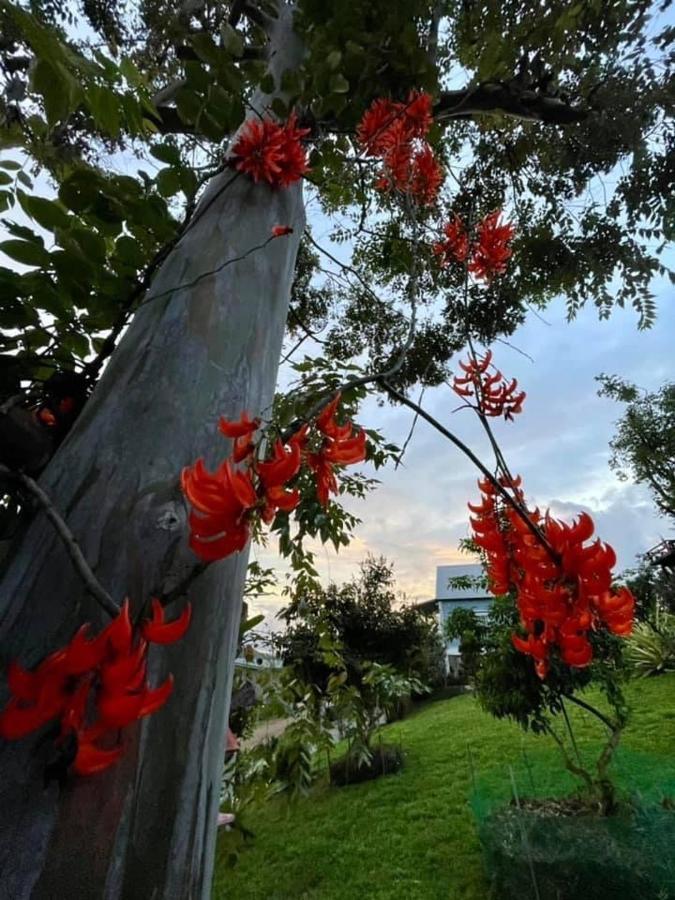 Villa Tip House Amphoe Amphoe Khao Kho Exterior foto