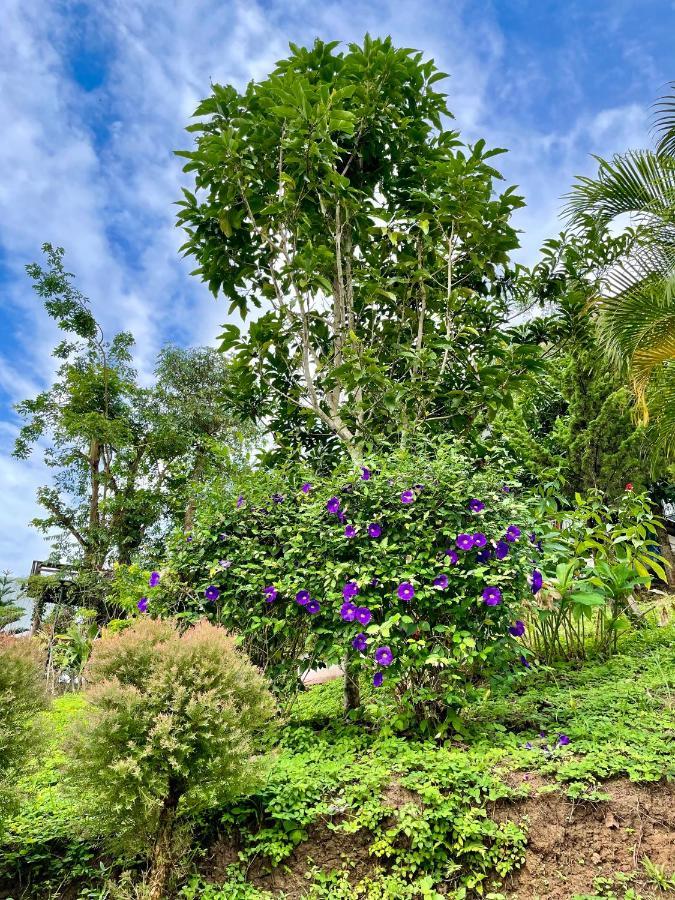Villa Tip House Amphoe Amphoe Khao Kho Exterior foto